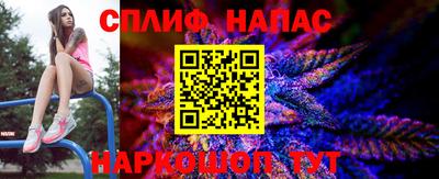 Альфа ПВП Камышлов