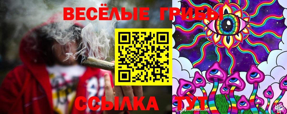 Галлюциногенные грибы MAGIC MUSHROOMS  Вход с VPN  Кропоткин 